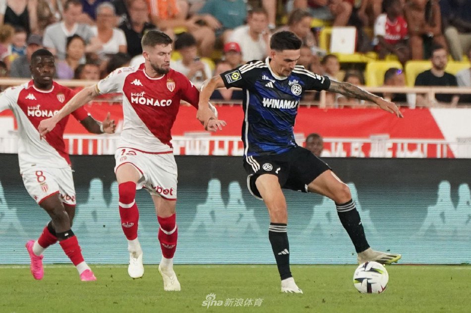 雄鹿的胜利 雄鹿的胜利